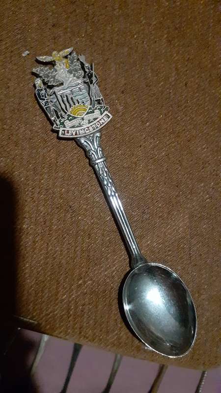 Souvenir Spoon - Livingstone
