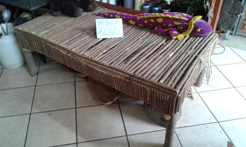 Large Low Wooden Table - Statement Piece