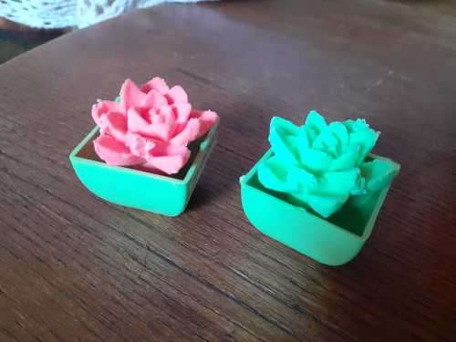 Novelty Growing Artificial Succulents - Echeveria