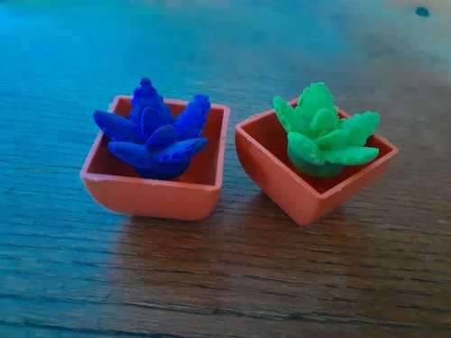 Novelty Growing Artificial Succulents - Echeveria2