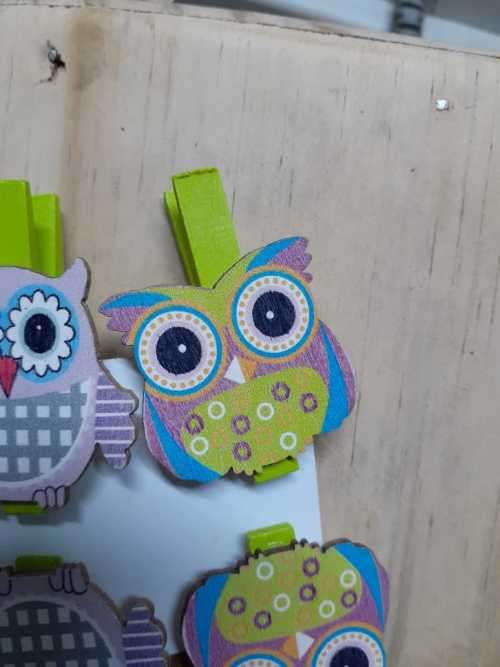 Wooden Owl Pegs - Rings