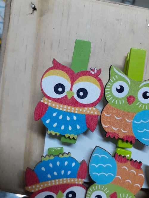 Wooden Owl Pegs - Red Blue