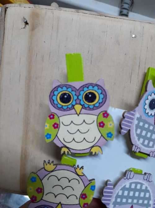 Wooden Owl Pegs - Flowers