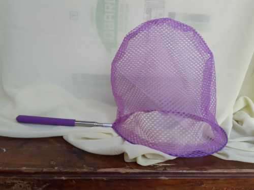 Telescopic Fishing Net - Purple