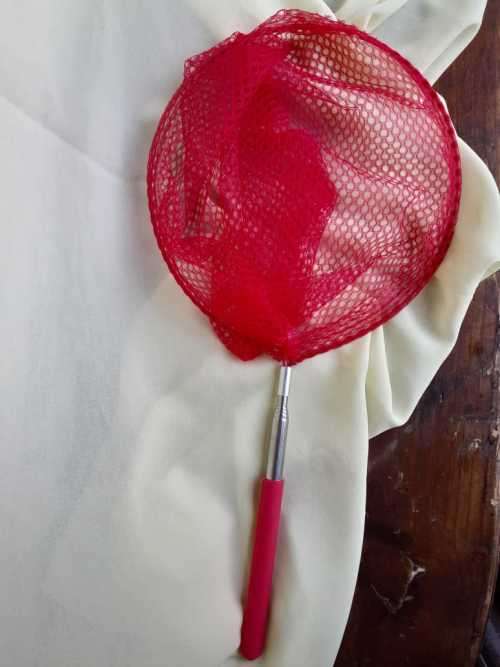 Telescopic Fishing Net - Red