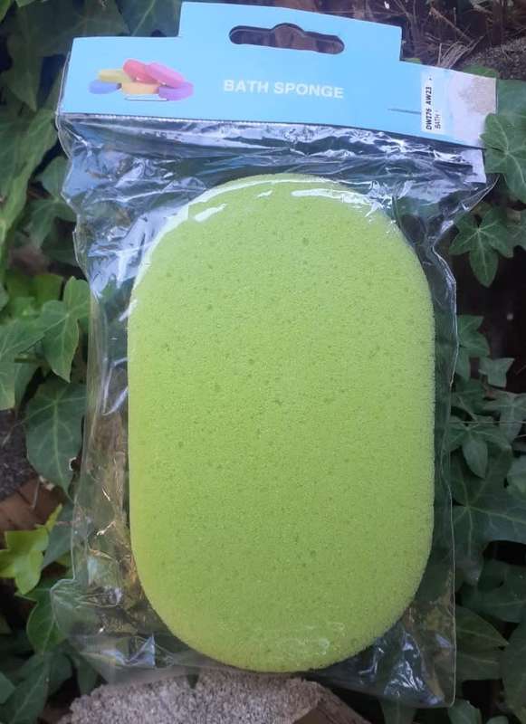 Lime Green Bath Sponge