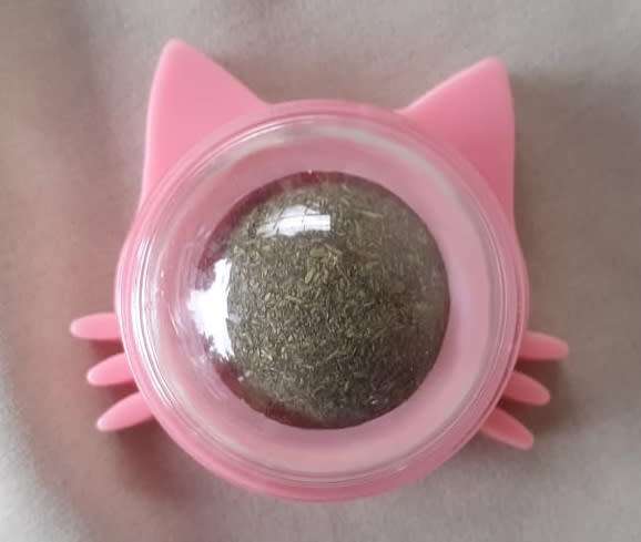 Catnip Ball Wall Toy - Pink
