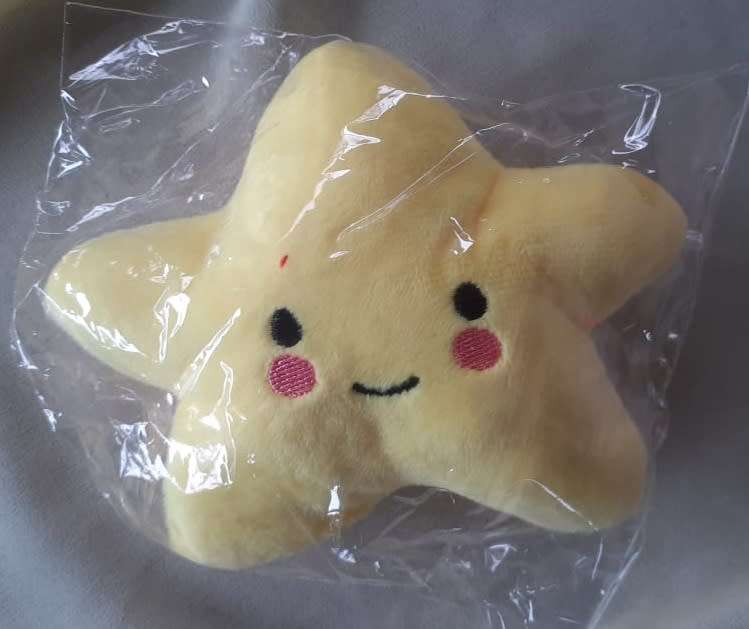 Plush Squeaky Toy Star Assorted Colours