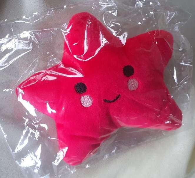Plush Squeaky Toy Star Assorted Colours