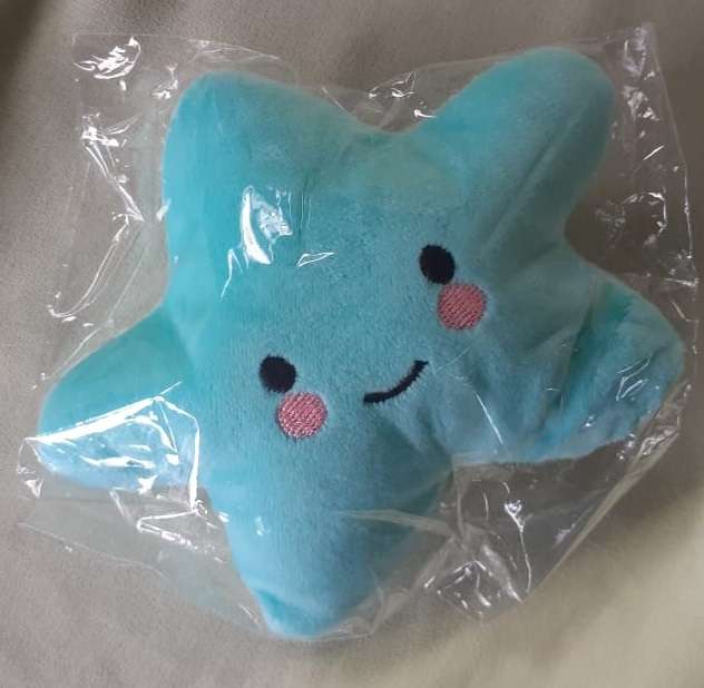 Plush Squeaky Toy Star Assorted Colours