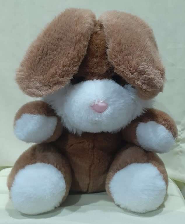 Plush Bunny - Floppy Ears