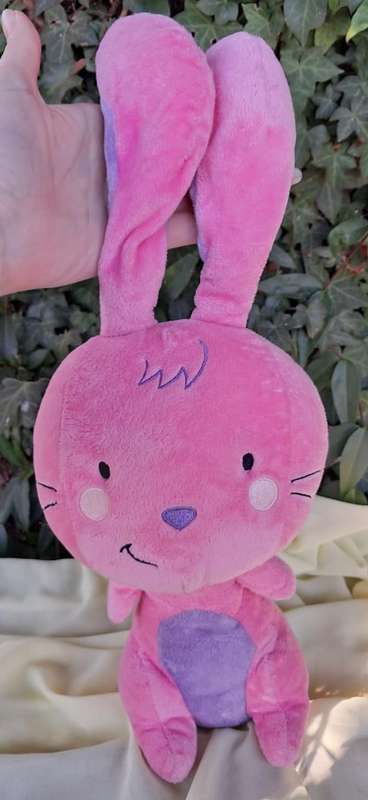 Plush Pink Bunny