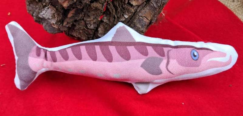 Canvas Catnip Soft Toy Fish Pink Fish