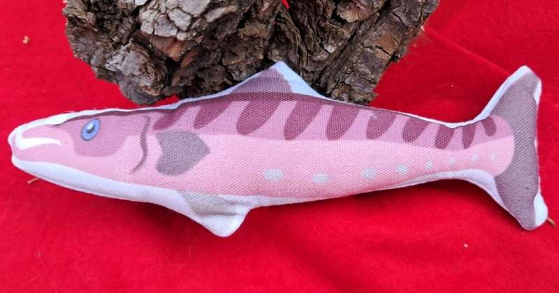 Canvas Catnip Soft Toy Fish Pink Fish