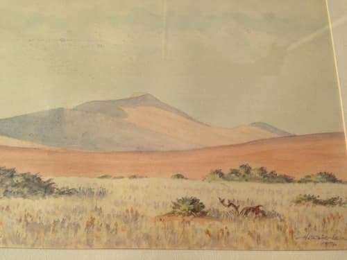 Wonderful Watercolour by famous Namibian artist H Diener
