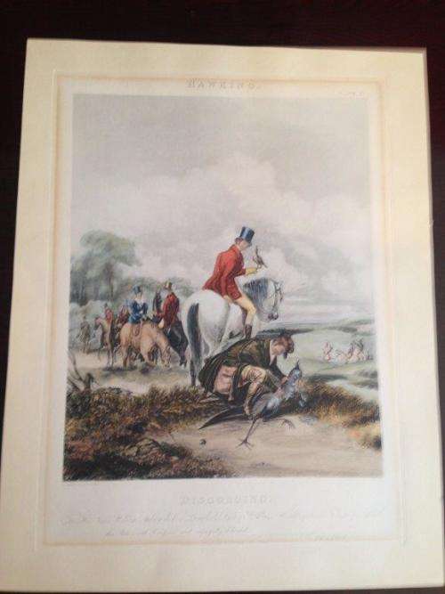 STUNNING SPORTING PRINT HAWKING DISGORGING, COLOUR ENGRAVINGS BY R G REEVE AFTER F C TURNER