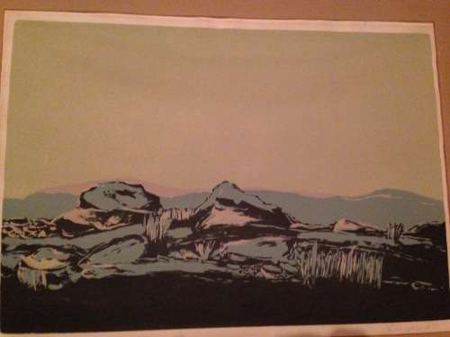 Stunning and rare find Chris Spies 1975 Lithograph Signed and Numbered. Value R8500