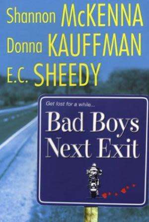 Bad boys next exit. Shannon McKenna, Donna Kauffman, EC Sheedy.