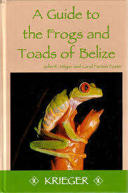 A guide to the frogs and toads of Belize. John R Meyer and Carol Farneti Foster.