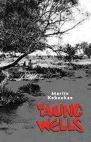 Taung Wells.  Martin Koboekae