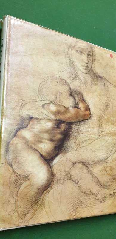 Michel-Ange L`Artist - Sa Pensee - L`ecrivain. Mario Salmi. 2 Volume Set.