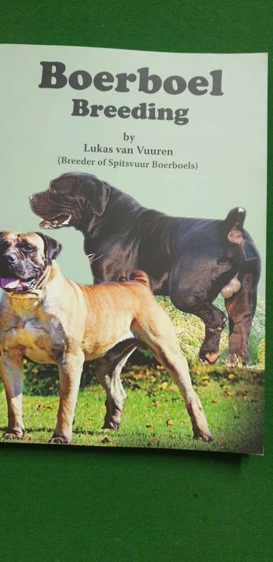 Boerboel Breeding. Lukas Van Vuuren, Breeder of Spitsvuur Boerboels.