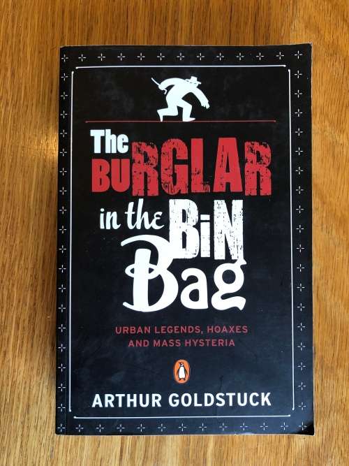 The Burglar in the Bin Bag by Arthur Goldstuck