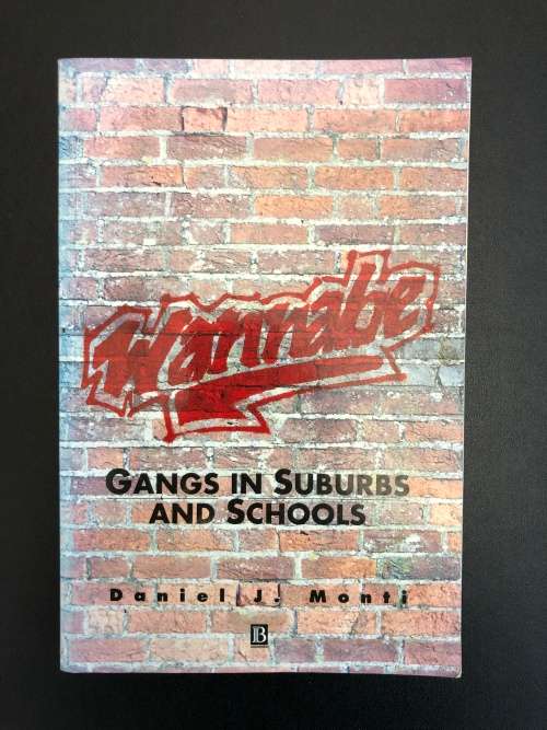 Wannabe, Gangs in Suburbs and schools by Daniel J. Monti