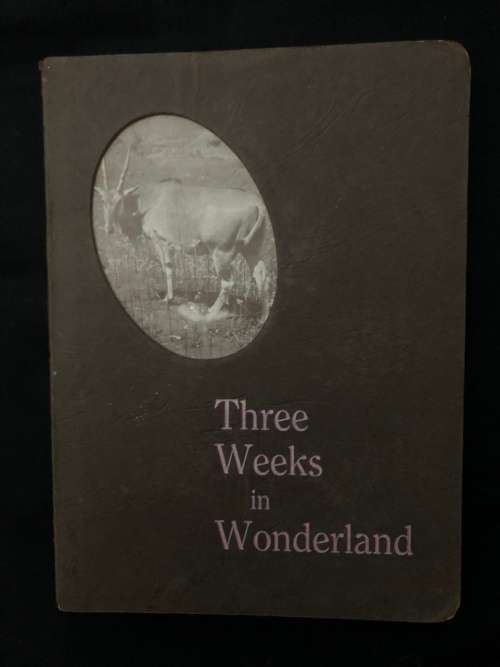 Three Weeks in Wonderland. Edith L Prance.