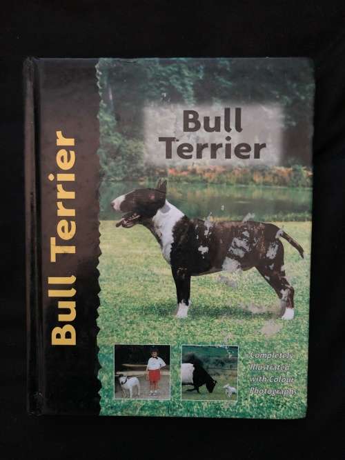 Bull Terrier. Bethany Gibson.