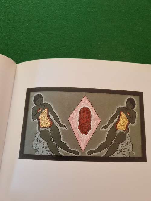 The rat in art. Conrad Botes, Pop and the Posthuman.