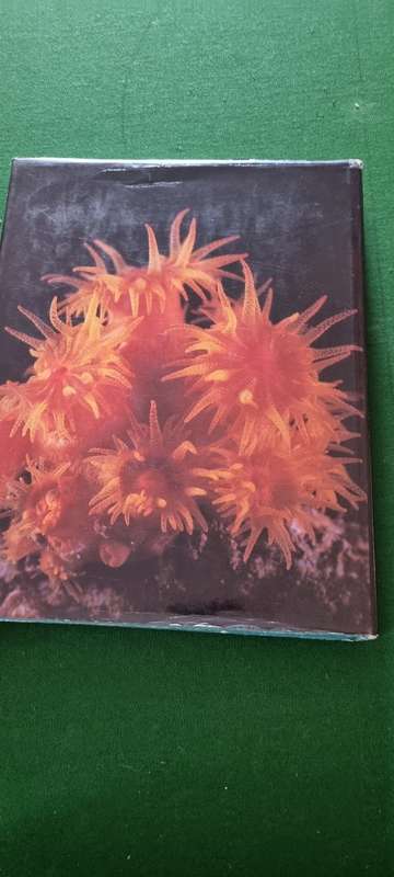 The Living Shores of Southern Africa by Margo and George Branch.