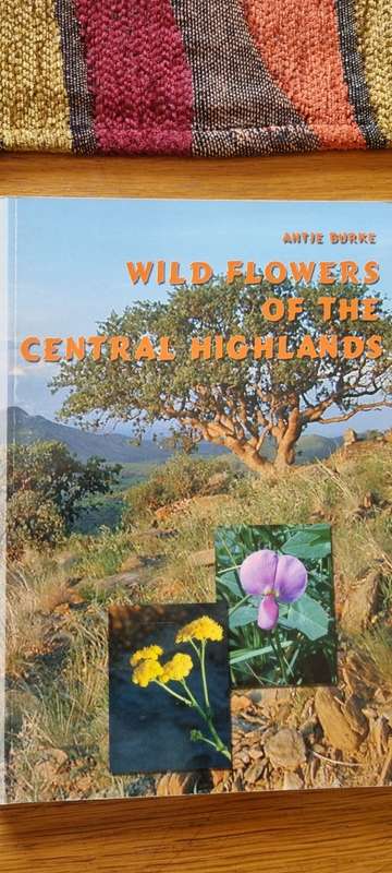 Wild flowers of the Central Highlands. Antje Burke. Namibia.