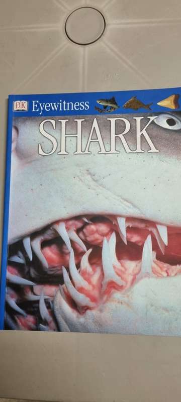 Eyewitness Shark. Miranda McQuitty.