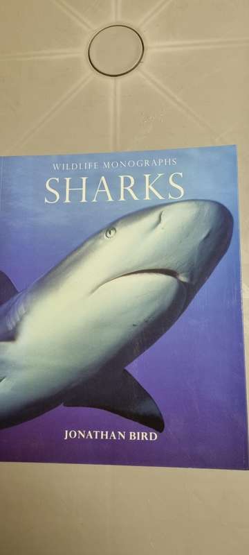 Sharks. Wildlife Monographs. Jonathan Bird.