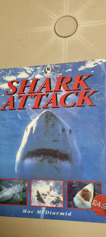Shark Attack. Mac McDiarmid.