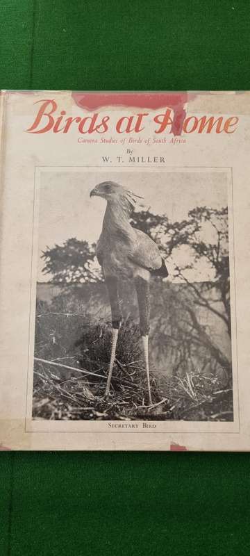 Birds at Home. Camera studies of birds of South Africa. WT Miller.