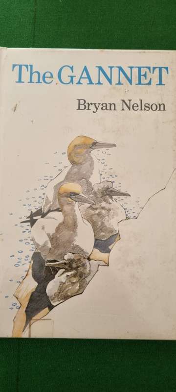 The Gannet.  Bryan Nelson.
