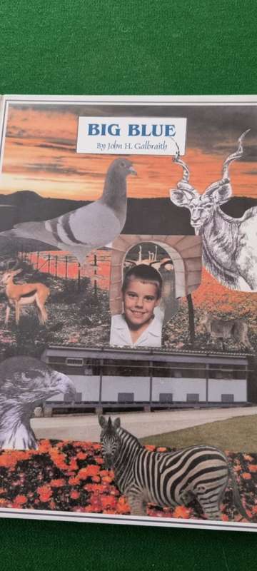 Big Blue. John H Galbraith. Racing Pigeons.