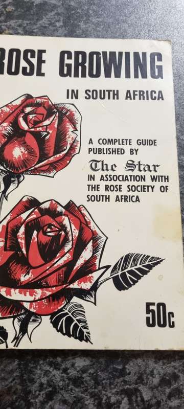 Rose growing in South Africa. The Star in association with the Rose Society of SA.