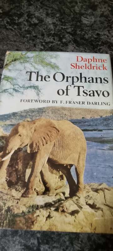 The orphans of Tsavo. Daphne Sheldrick.