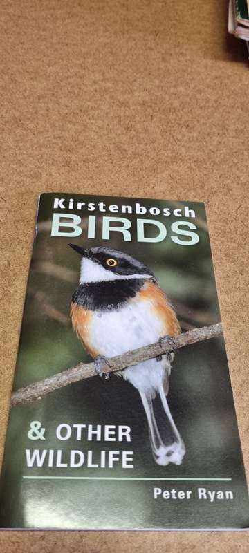 Kirstenbosch Birds and other wildlife. Peter Ryan.
