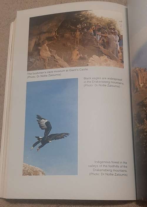 Kwazulu/Natal Wildlife Destinations   Authors: Tony Pooley and Ian Player