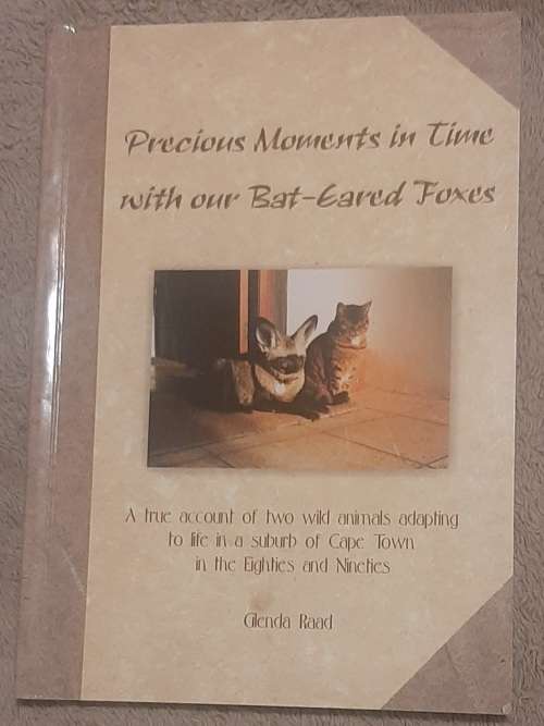 Precious moments in time with our Bat-eared Foxes.  Author: Glenda Raad