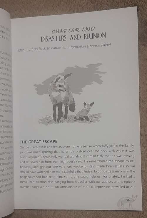 Precious moments in time with our Bat-eared Foxes.  Author: Glenda Raad
