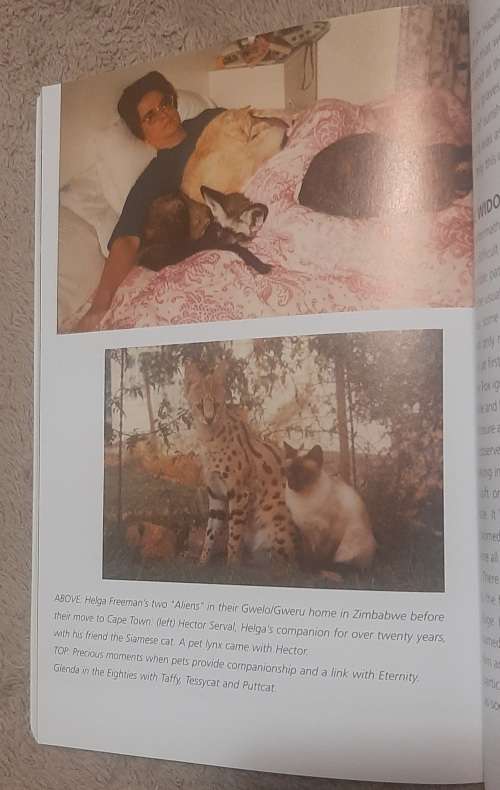 Precious moments in time with our Bat-eared Foxes.  Author: Glenda Raad