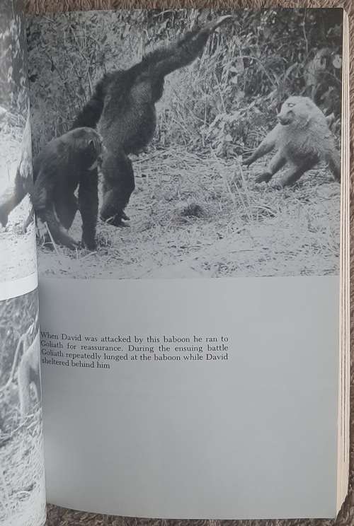 In the Shadow of Man.  Author: Jane Goodall