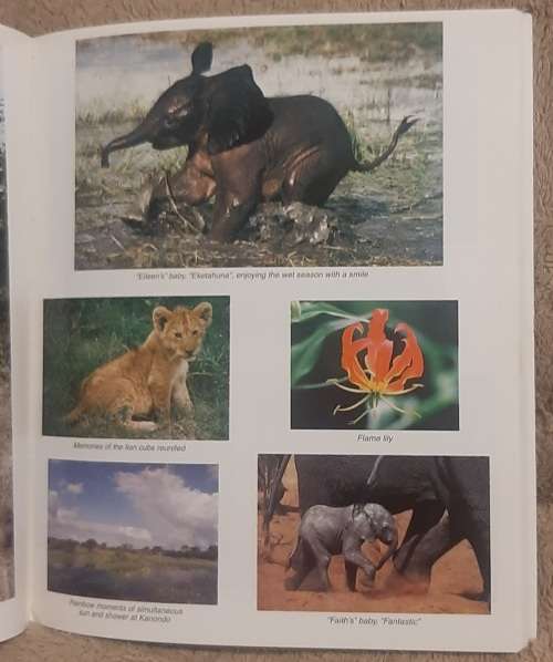In An Elephant`s Life Amongst `The Presidential Elephants of Zimbabwe`  Author: Sharon Pincott