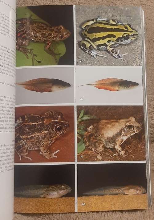 Freshwater Life  Author: Charles Griffiths, Jenny Day and Mike Picker
