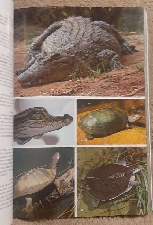 Freshwater Life  Author: Charles Griffiths, Jenny Day and Mike Picker